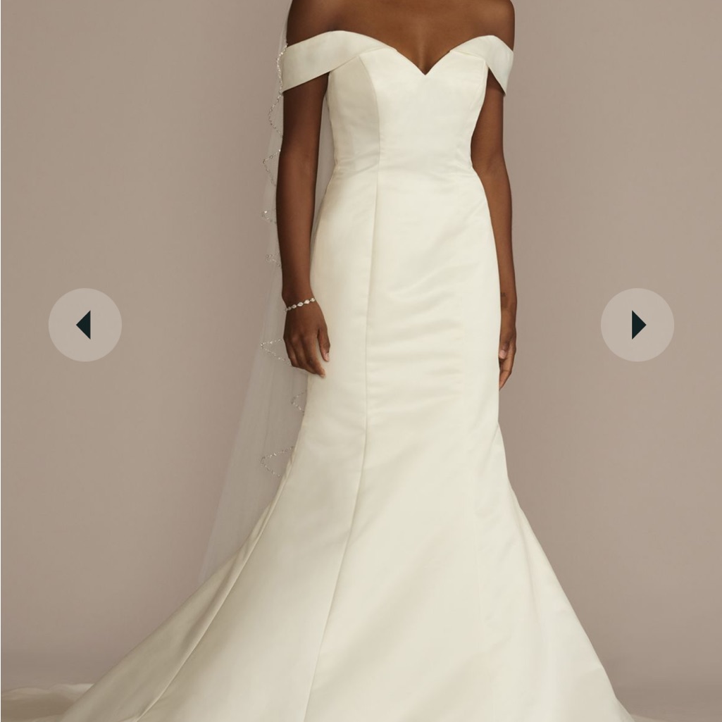 David’s Bridal Size 14 Wedding Dress With Petticoat, Belt, Veil, And Dress Bag